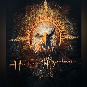 Vintage unable to find Harley Davidson 1996 Maui HD